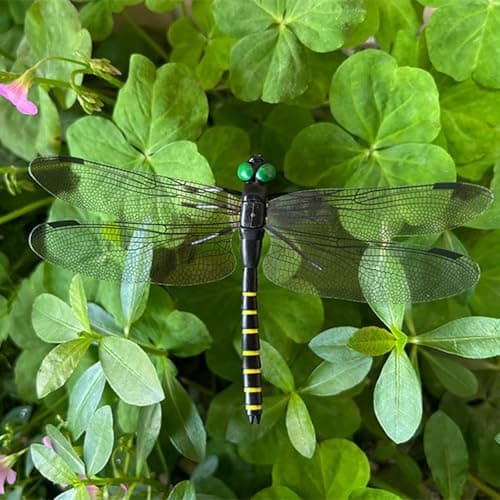 2026 New Dragon Fly Clips, 3D Artificial Dragonfly Hat Clip, Dragonfly Garden Decor(10PCS) — view 4