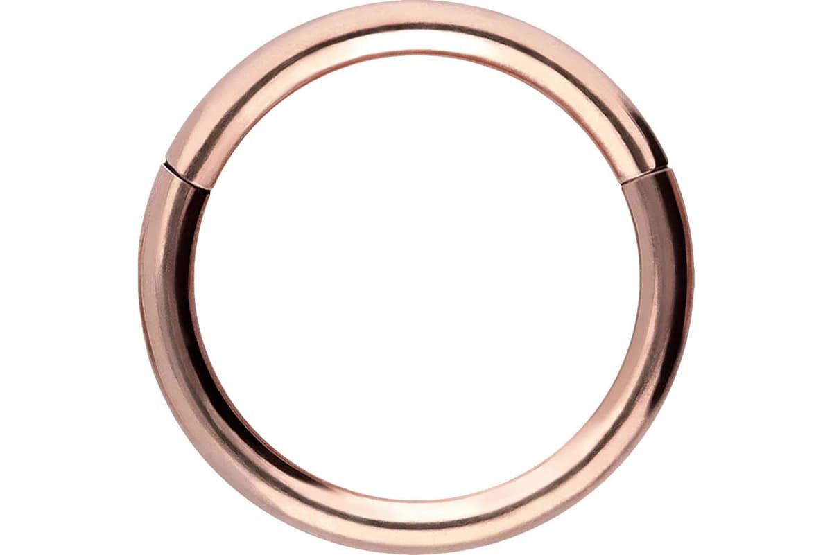PIERCINGLINE Anillo segmento Clicker de acero quirúrgico – Piercing en oro, plata, rosa, negro o azul – para nariz, tabique, oreja, hélice o tragus — view 140