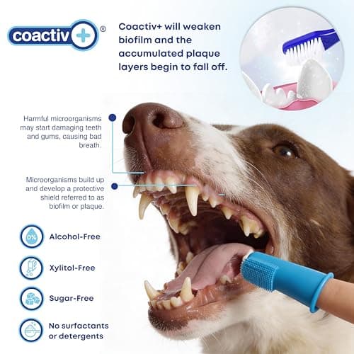 bluestem Cat and Dog Toothpaste – Scientifically Formulated Coactiv+ Pet Toothpaste Helps Reduce Plaque & Tartar, Freshens Breath, and Promotes Daily Dog and Cat Oral Care – Chicken Flavor (70g) — view 3