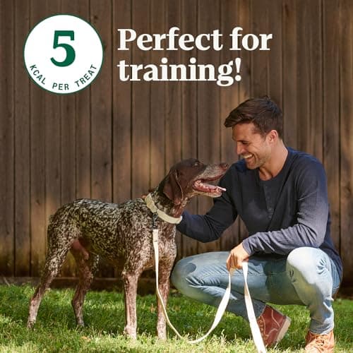 Nutro Crunchy Dog Treats with Real Apple, Training Treats for Dogs, 10 oz. Bag — view 2