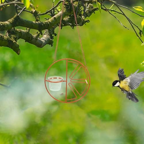Abaodam 2pc Glass Bird Feeder Replacement Glass Cup Outdoor Hanging Bird Feeder Bowl for Oriole Hummingbird for Garden Balcony — view 5