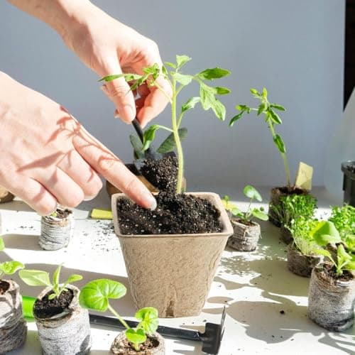 100 Pcs Square Peat Nursery Pots 3 Inch, Biodegradable Peat Pots Plant Starters with Drainage Holes, Organic Germination Plant Starter with Plant Labels for Indoor Outdoor Gardens — view 5