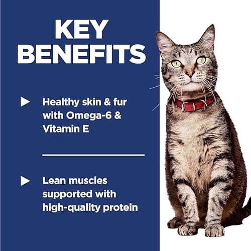 Hill's Science Diet Adult Chicken Recipe Dry Cat Food 3.17 kg Bag — view 4