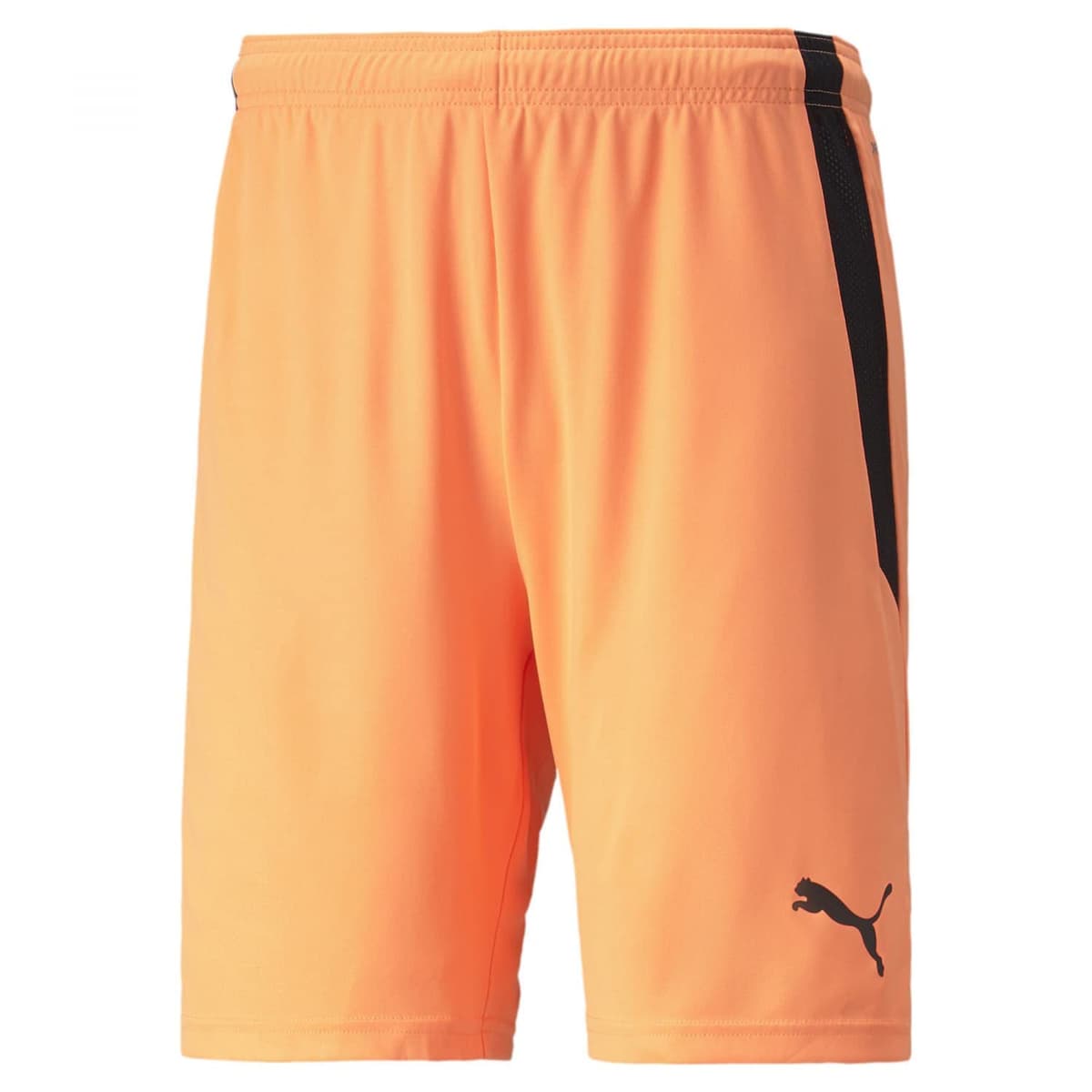 Puma Teamliga Shorts - Pantalones Cortos Hombre — view 36