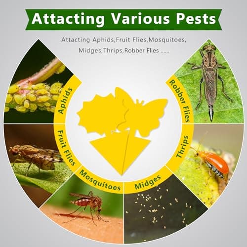 Fruit Fly Traps Indoor Fungus Gnat Trap 48PCS for Plants Yellow Houseplants Outdoor Use Insect Sticky — view 3