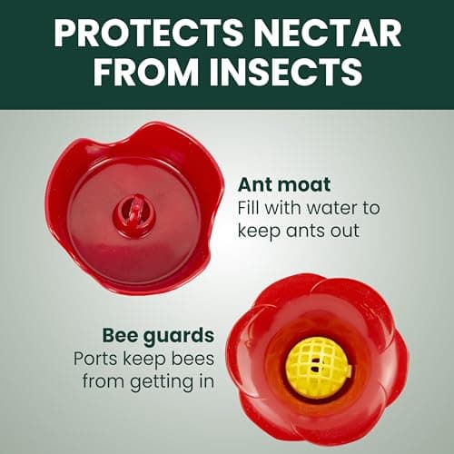 Perky-Pet 203CPBN Outdoor Pinch Waist Glass Garden Décor Hummingbird Feeder — view 3