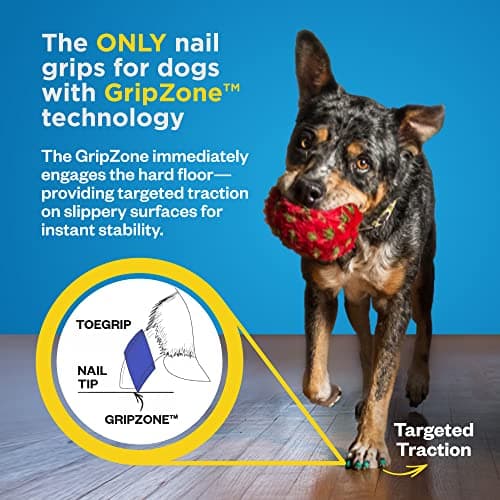 Dr Buzby's Large ToeGrips for Dogs - Instant Traction on Wood/Hardwood Floors - Anti Slip Relief - Grippers for Senior Dogs - Stop Sliding Instantly - Rubber Nails for Paws - 1 Pack (20 Grips) — view 5