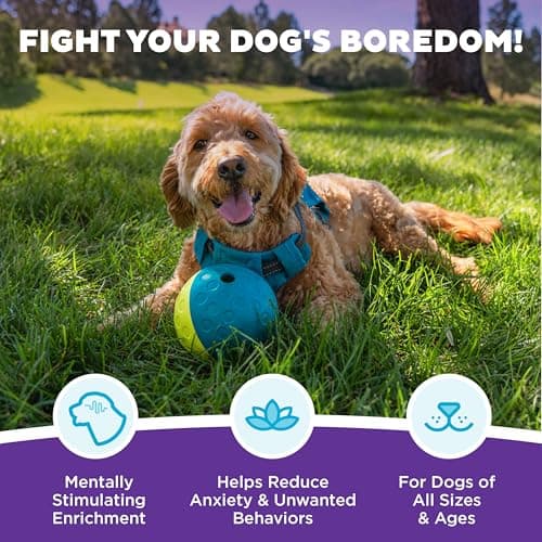 Outward Hound by Nina Ottosson Treat Tumble Interactive Puzzle Ball Dog Toy, Level 1 Beginner, Blue, Small — view 2