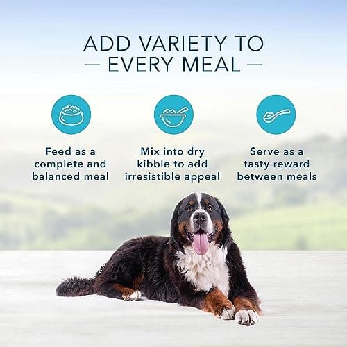 Blue Buffalo Homestyle Recipe Natural Wet Dog Food, Large Breed Chicken 12.5oz (Pack of 12) — view 2