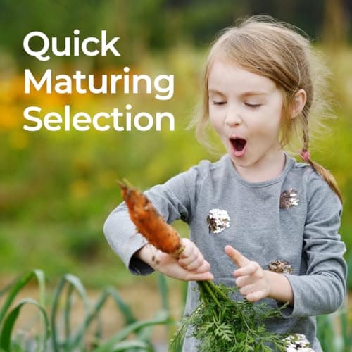 10 Heirloom Vegetable Seed Varieties – Seeds for Planting in Canada, Home and Survival Garden Plant Seeds, Graines de Jardin Canadian Variety Pack Kit — view 5