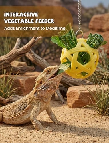 NiToy Bearded Dragon Enrichment Toys, Interactive Reptile Feeder Ball Set — view 3