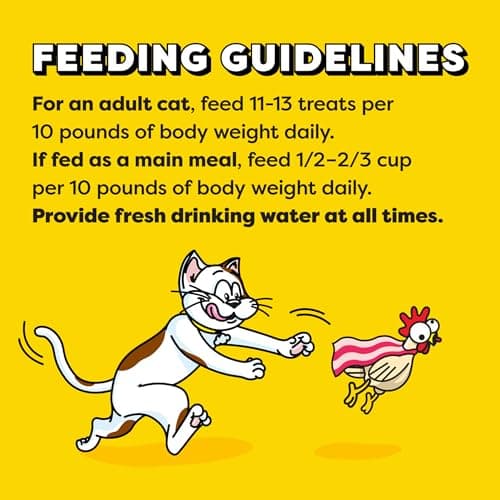 Temptations Wacky Blasts Cat Treats, Cluckin’ Bacon Flavor, 16 oz. Pouch — view 6