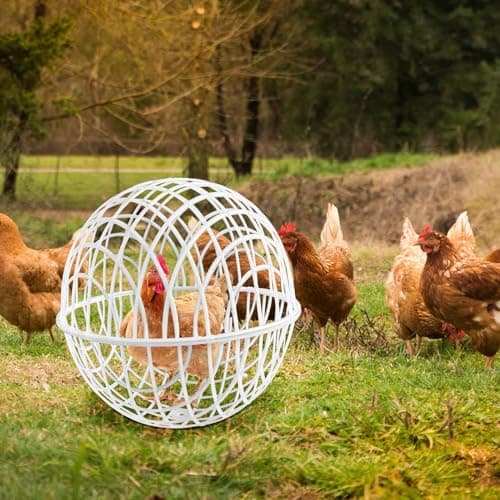 3PCS Ball Shaped Movable Chicken Coop Chicken Balls, Movable Chickens Ball Cage Coop Balls, Poultry Care Supplies, Small Animal House Habitat, for PigeonRabbit Duck Vegetable Protection — view 2