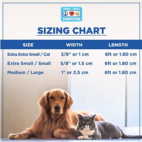 Pawtitas Solid Dog Leash Puppy Training Lead Orange 2-XSmall or Cats Daily Use Outdoor Control Laisse Solide Pour Chien Chiot Chat Orange 1.8 m — view 5