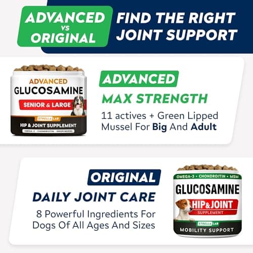 Advanced Glucosamine for Dogs w/Green Lipped Mussel, Collagen & Chondroitin - Max Strength Hip and Joint Supplement for Dogs - Joint Pain Relief - Large & Small Breed - Bacon - 120Ct — view 4