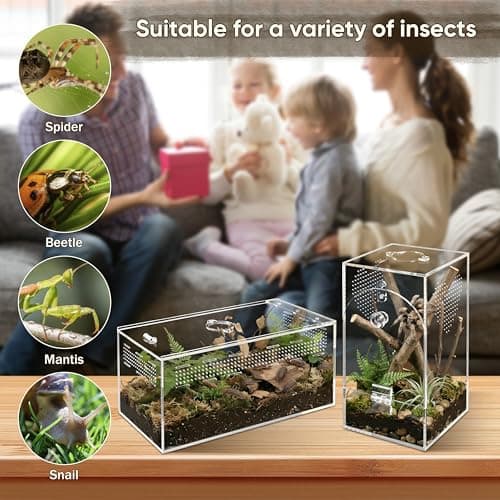 YINGXUN Jumping Spider Enclosure Set, Terrestrial Arboreal Combo, Acrylic Tarantula Terrarium, Praying Mantis Habitat, No Assembly, 2-Size Kit, Large — view 4