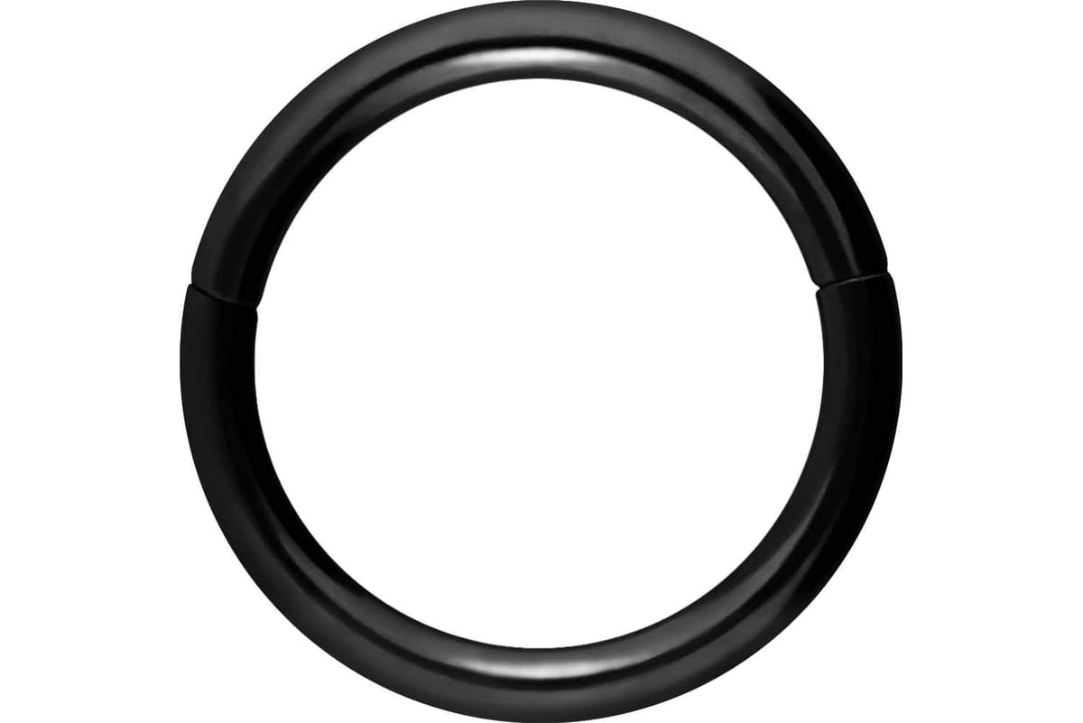 PIERCINGLINE Anillo segmento Clicker de acero quirúrgico – Piercing en oro, plata, rosa, negro o azul – para nariz, tabique, oreja, hélice o tragus — view 102