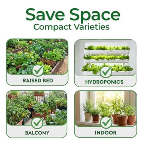 10 Heirloom Vegetable Seed Varieties – Seeds for Planting in Canada, Home and Survival Garden Plant Seeds, Graines de Jardin Canadian Variety Pack Kit — view 3
