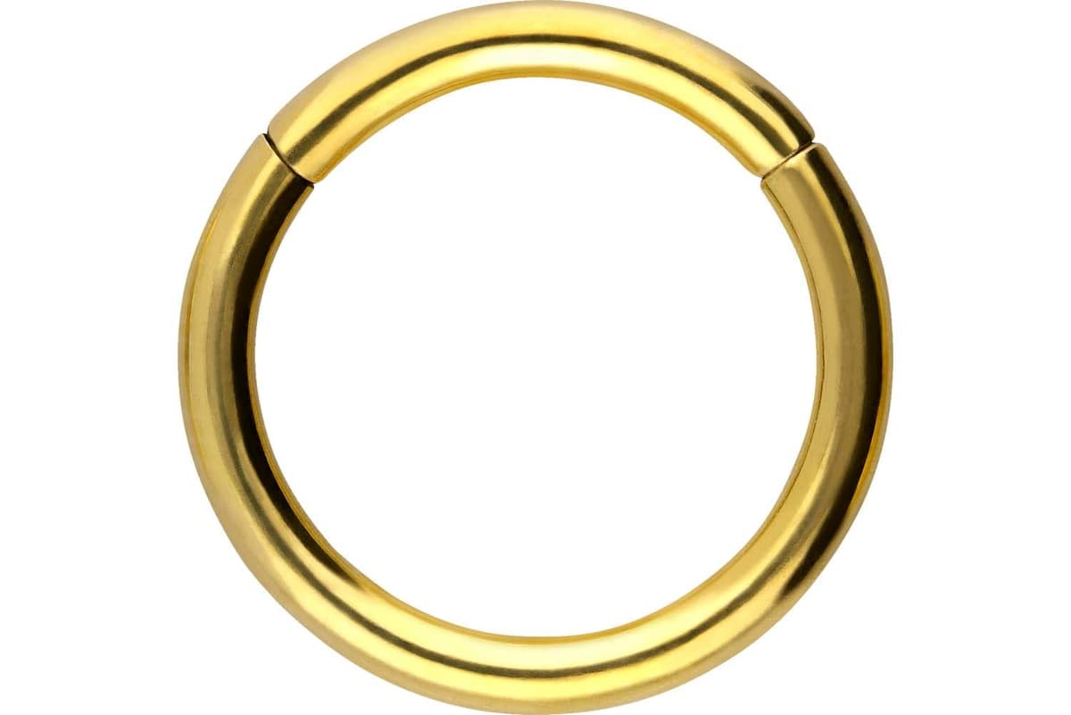 PIERCINGLINE Anillo segmento Clicker de acero quirúrgico – Piercing en oro, plata, rosa, negro o azul – para nariz, tabique, oreja, hélice o tragus — view 105
