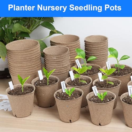 Peat Pots 8 cm, 65 Pcs Seed Starting Pot with Drainage Holes, 3.15 Inch Round Seedling Nursery Box, Small Seed Starting Starter Tray Bulk, Garden Germination Container with Bonus 65 Plant Labels