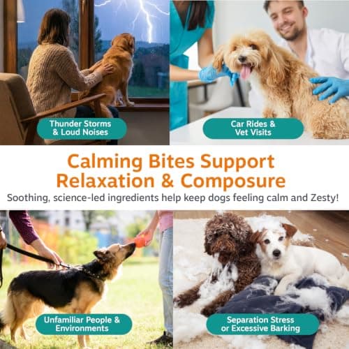 Zesty Paws Calming Chews for Dogs Composure & Relaxation for Everyday Stress & Separation Peanut Butter 90 Count — view 2