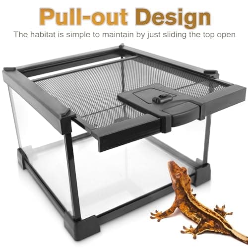 NEPTONION 20"x12"x14" Reptile Terrarium, Escape-Proof Glass Arboreal Vivarium for Small Arboreal Reptiles Such as Crested Geckos, with Escape-Proof Lock & Feeding Hatch — view 5