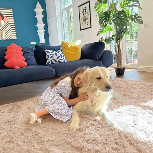 OLANLY Fluffy Area Rug for Living Room Bedroom, 2x3 Feet Soft Shaggy Non-Slip Carpet, Indoor Modern Plush Area Rugs for Kids Girls and Boys, Dorms, Nursery Rooms, Home Decor, Beige — view 4