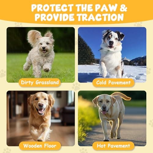 Dapaw Anti-Slip Dog Paw Pads, Traction Grips for Senior Dogs, XXL, 20Pcs — view 2