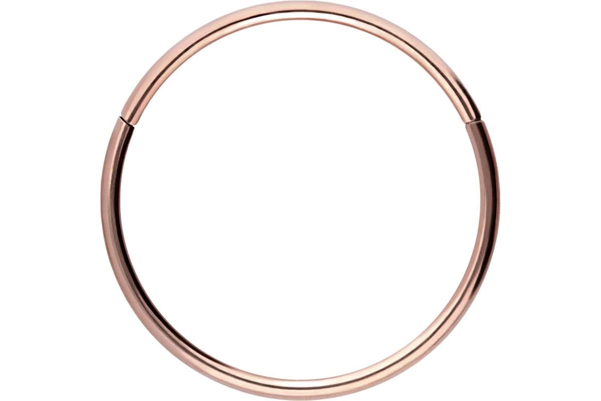 PIERCINGLINE Anillo segmento Clicker de acero quirúrgico – Piercing en oro, plata, rosa, negro o azul – para nariz, tabique, oreja, hélice o tragus — view 11