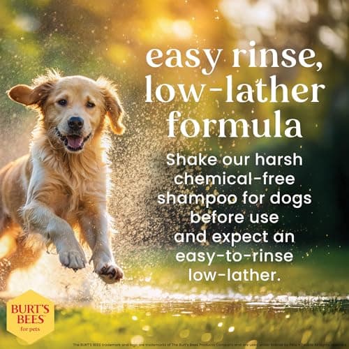 Burt's Bees for Pets Oatmeal Dog Shampoo with Honey, Soothing Formula for Itchy and Sensitive Dog Skin, Colloidal Oat Flour and Honey, pH Balanced, Sulfate-Free, 16 Fl Oz — view 3