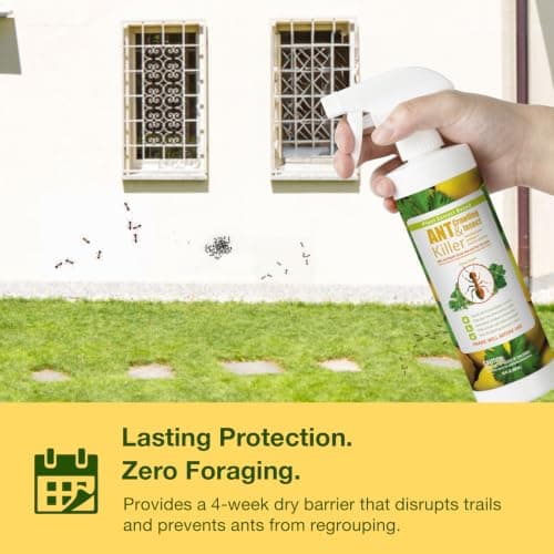 EcoVenger By EcoRaider Ant Killer & Crawling Insect Killer, 16 OZ Ready to Use, Indoor & Outdoor, Kills & Repels, Lasting Prevention, Natural & Non-Toxic Plant Based Formula, Pleasant Citrus Scent — view 3