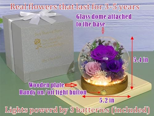Valley of Rain & Forest Long-Lasting Real Flowers, Unique Floral Gift for You to Send Love for All Occasions, for Indoor Decoration (Dark Purple & Pink Roses Arrangement)