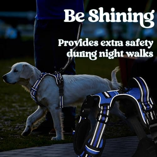 rabbitgoo Dog Harnesses for Large Dogs, No Pull Pet Harness with 3 Buckles, Adjustable Soft Padded Vest with Instant Control Handle, Easy Walking Reflective Pet Vest, Blue, L — view 8