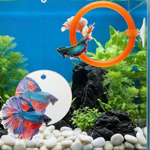 Betta Fish Toys & Accessories Set, Includes Floating Mirror with Ball, 2 Training Rings & Suction Cups for Betta Fish Aquariums (Orange) — view 5