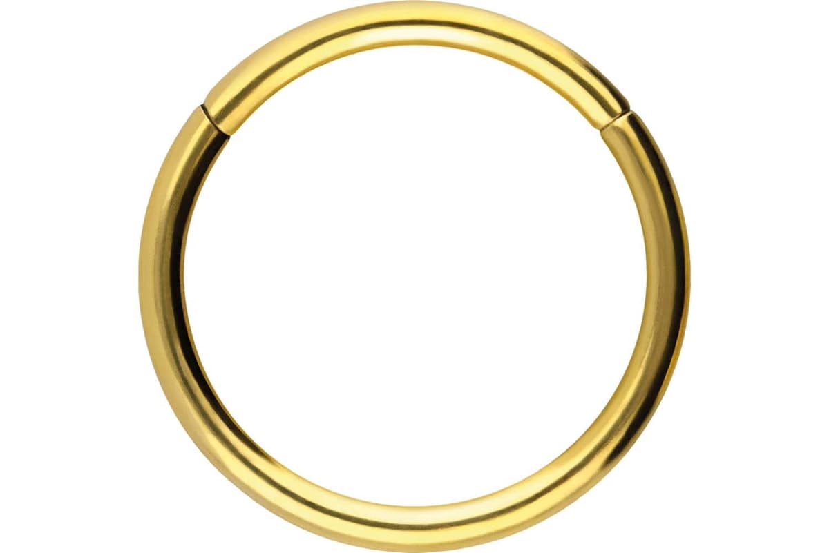 PIERCINGLINE Anillo segmento Clicker de acero quirúrgico – Piercing en oro, plata, rosa, negro o azul – para nariz, tabique, oreja, hélice o tragus — view 9