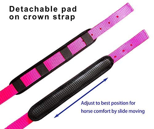 T TEKE Adjustable Horse Halter by Heavy Duty Soft Nylon, Padded with Anti-rubbing Waffle Neoprene on Both Crown & Nose — view 2