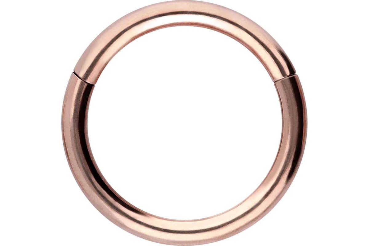 PIERCINGLINE Anillo segmento Clicker de acero quirúrgico – Piercing en oro, plata, rosa, negro o azul – para nariz, tabique, oreja, hélice o tragus — view 112