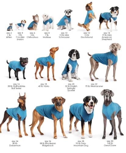 Goldpaw Stretch Fleece Dog Sweater - with Spandex for 4-Way Stretch - Soft, Comfortable Dog Coat - Machine Washable - Made in the USA - Paprika - Size 14 — view 2