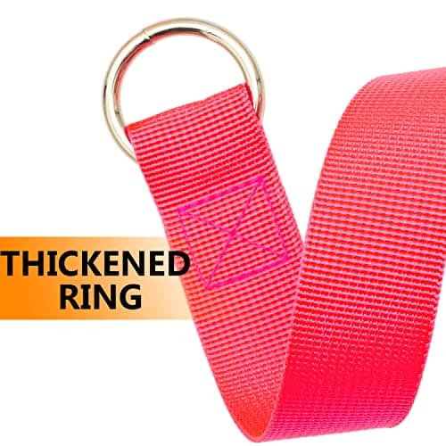ATICNECH Slip Lead Dog Leash - 10 pcs Colorful 6 FT Short Dog Leashes with O-Ring for Small Large Dogs Puppy Cats Walking Training Running Rescues Grooming Shelter,etc. — view 3
