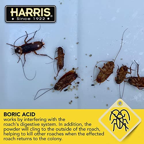 HARRIS Boric Acid Roach and Silverfish Killer Powder w/Lure for Insects (16oz) — view 5