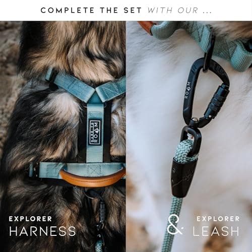 Made to ROAM Premium Dog Collar - Adjustable Heavy Duty Nylon Collar with Quick-Release Metal Buckle (California Horizon, Classic Size 4) — view 6