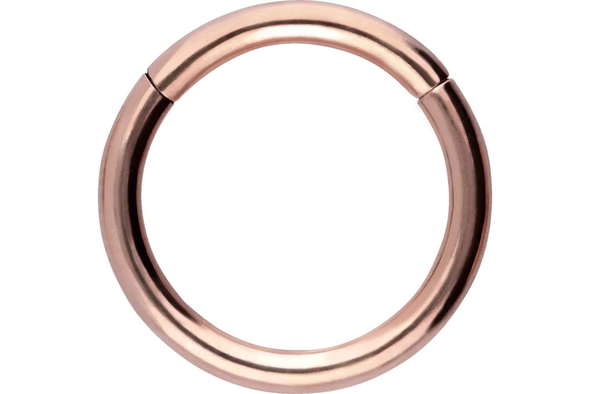 PIERCINGLINE Anillo segmento Clicker de acero quirúrgico – Piercing en oro, plata, rosa, negro o azul – para nariz, tabique, oreja, hélice o tragus — view 53