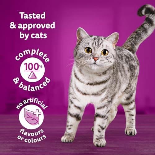 WHISKAS Adult Dry Cat Food, Tuna Selections, 4kg Bag, For Cats 1 Year & Older, High Quality Protein, 100% Complete & Balanced Cat Food, No Artificial Colours or Flavours — view 2