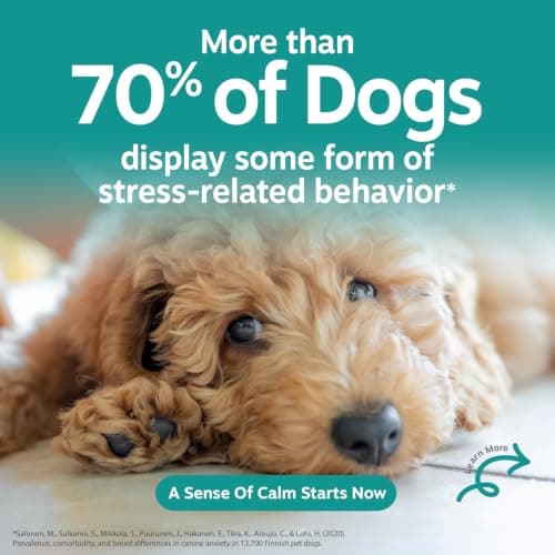 Zesty Paws Calming Chews for Dogs Composure & Relaxation for Everyday Stress & Separation Peanut Butter 90 Count