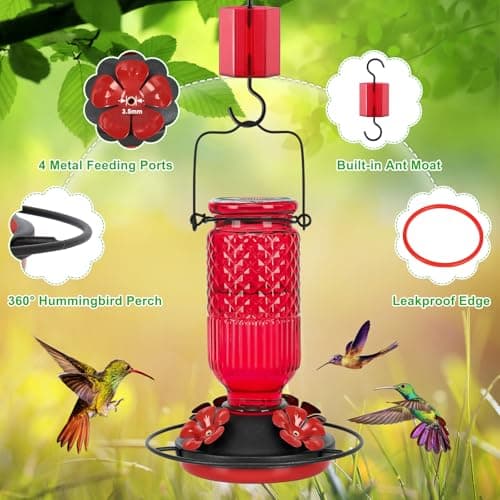FEED GARDEN Glass Hummingbird Feeder for Outdoors Hanging, 16 oz Leak-Proof Nectar Feeder with Bee Guards & Ant Moat, 4 Metal Flower Feeding Ports, 360° Perch Ring, Easy Refill & Clean, Red — view 3