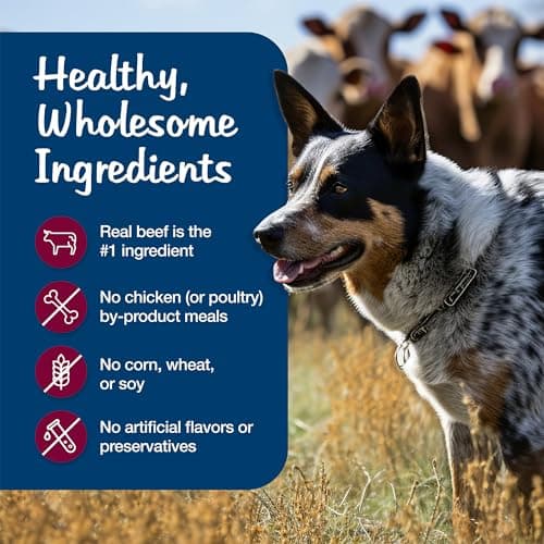 Blue Buffalo Blue’s Stew Hearty Beef Stew, Natural Grain Free Wet Dog Food with Real Beef, Peas, Carrots, & Potatoes in Thick Savory Gravy, Natural Ingredients, 12.5-oz Cans (12 Count) — view 5