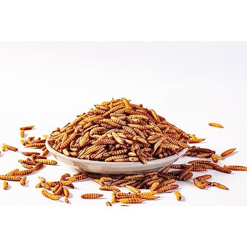 I LOVE WORMS Dried Black Soldier Fly Larvae (5lb), 100% Natural Non-GMO, Treat for Chickens, More Calcium Chicken Feed Than Mealworms — view 3