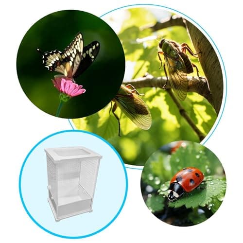 Praying Mantis Enclosure | Clear Acrylic Animal Tank,Reptile Habitat - for Jumping Spider Small Reptile Nesting Breeding Feeding — view 3