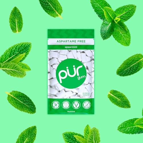 PUR Gum | Aspartame Free Chewing Gum | 100% Xylitol | Natural Spearmint Flavored Gum, 55 Pieces (Pack of 1) — view 4