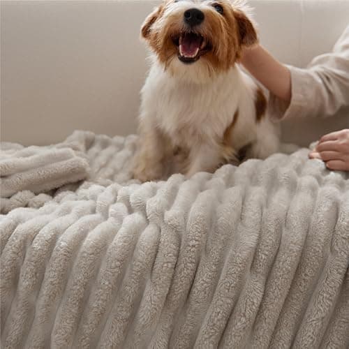 Bedsure GentleSoft Beige Throw Blanket for Couch - Teacher Appreciation Graduation Gifts Birthday Gifts for Women Her, Cozy Fleece Blankets for Women, Small Plush Fuzzy Throws for Girls, 50x60 Inches — view 8